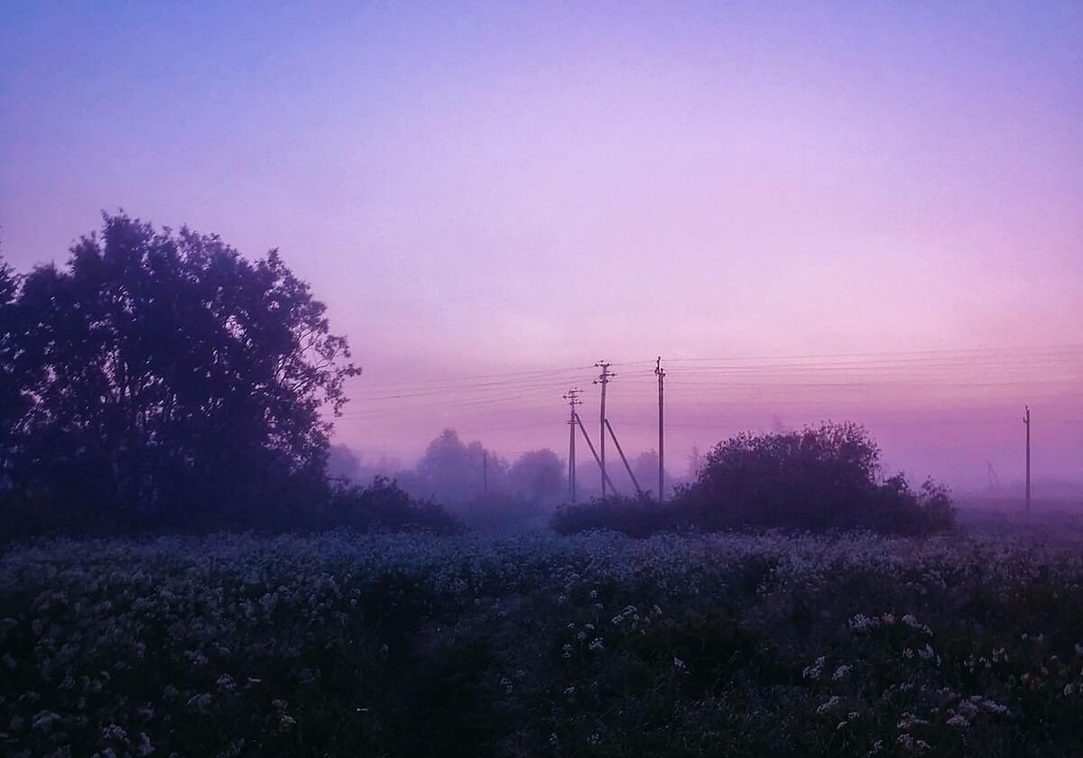 28岁樊振东炸场！德甲60年现亚洲现役传奇，12月赛程藏多少名场面